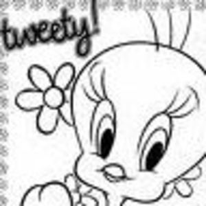 Meet your Posher, Dolores